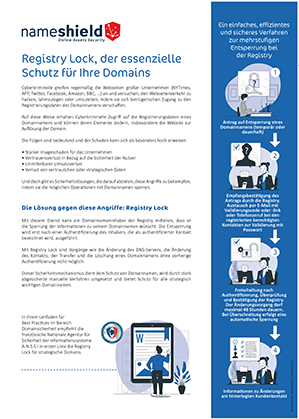 Registry Lock, der essenzielle Schutz für Ihre Domains