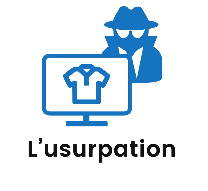 L'usurpation en ligne